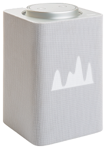 Умная колонка Яндекс.Станция Макс (Серый)