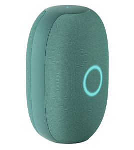 Умная колонка VK Капсула (Зелёный)