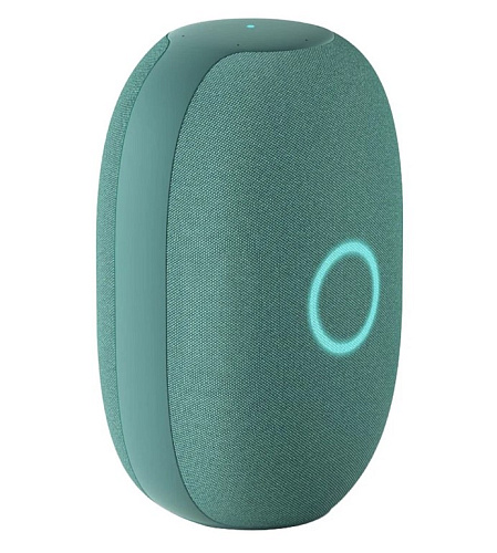 Умная колонка VK Капсула (Зелёный)