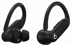 Беспроводные наушники Beats Powerbeats Pro 2 (Черный)