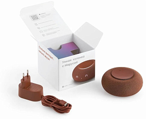 Умная колонка VK Капсула мини (Оранжевый)