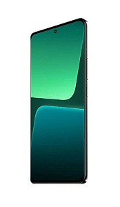 Смартфон Xiaomi 13 Pro 12/256GB CN (Зелёный, 256 ГБ, 12 ГБ, Китай, Dual nanoSim, Без Rustore)